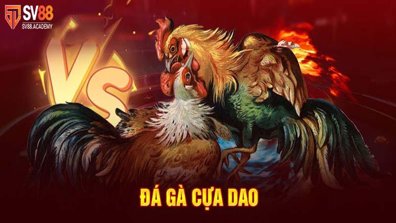 Đá gà cựa dao - Thể loại cá độ đẳng cấp tại nhà cái SV88 5 Thể thao đá gà cựa dao